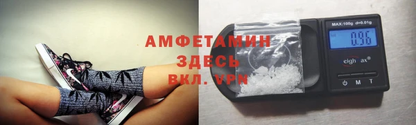 стафф Вяземский