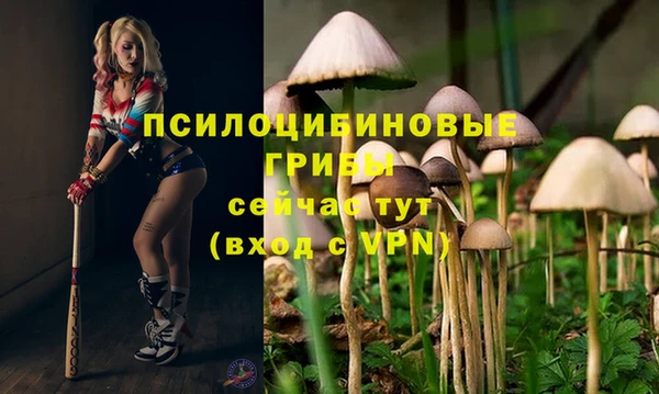 марки lsd Вязники