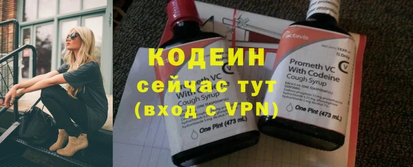 стафф Вяземский