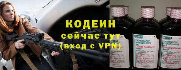 стафф Вяземский